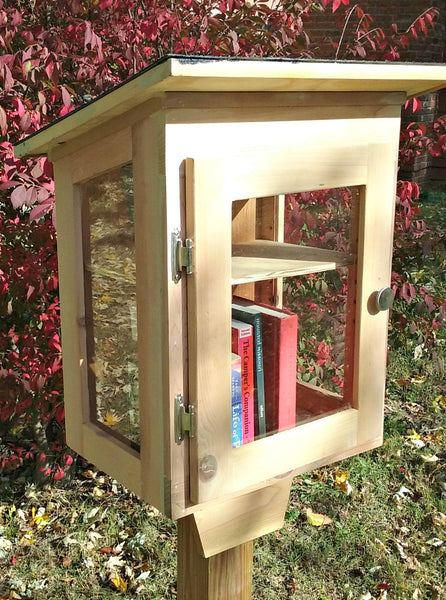Tiny Library, Window Walls